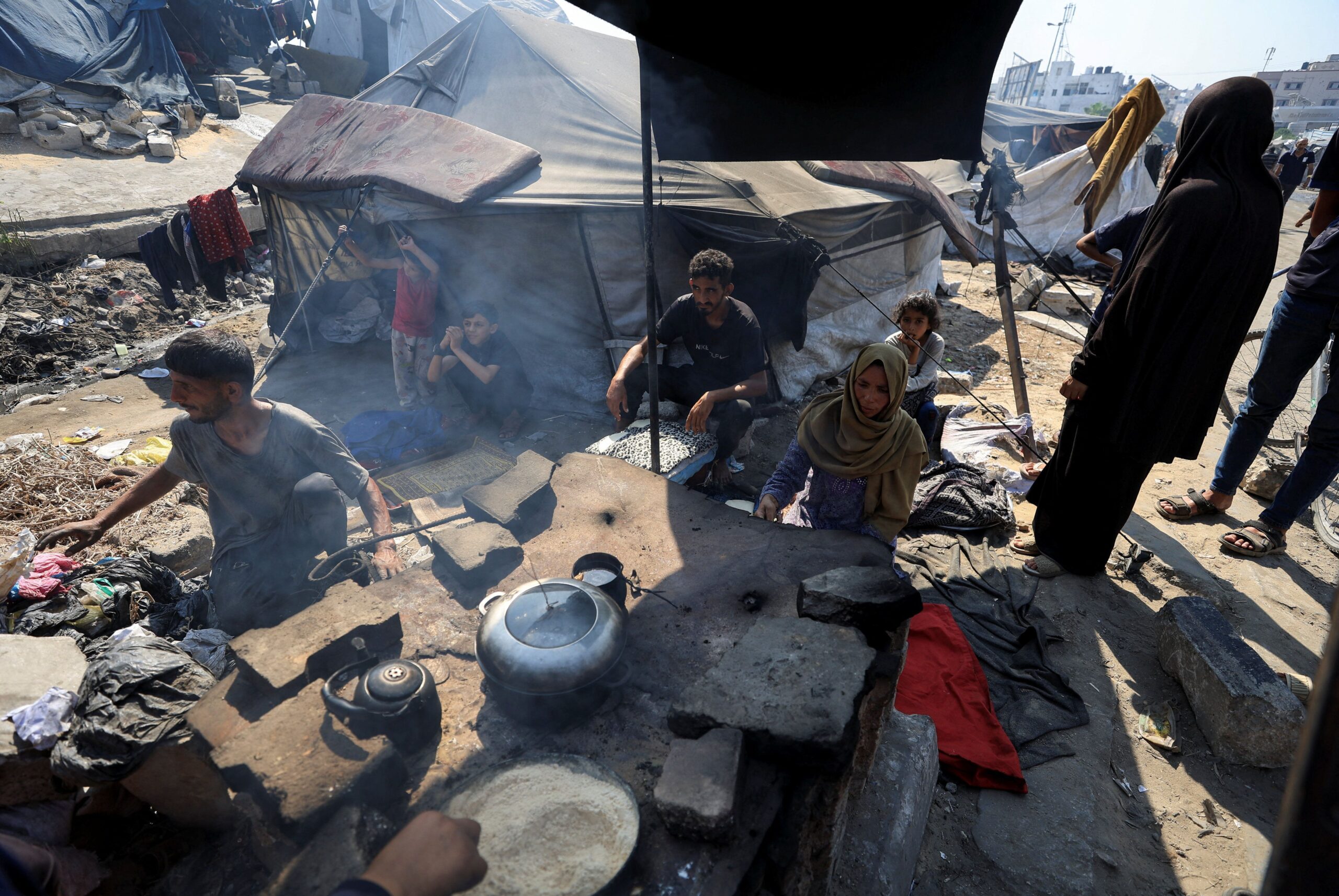 Cavalo mutilado: animal caiu por exaustão após ser forçado a cavalgar 15 km