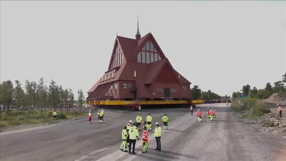 Cavalo mutilado: animal caiu por exaustão após ser forçado a cavalgar 15 km