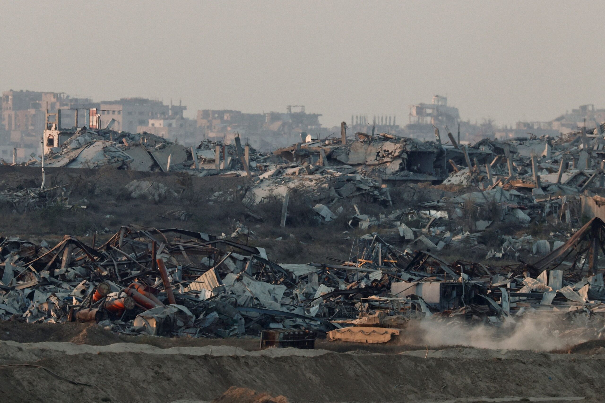 Cavalo mutilado: animal caiu por exaustão após ser forçado a cavalgar 15 km