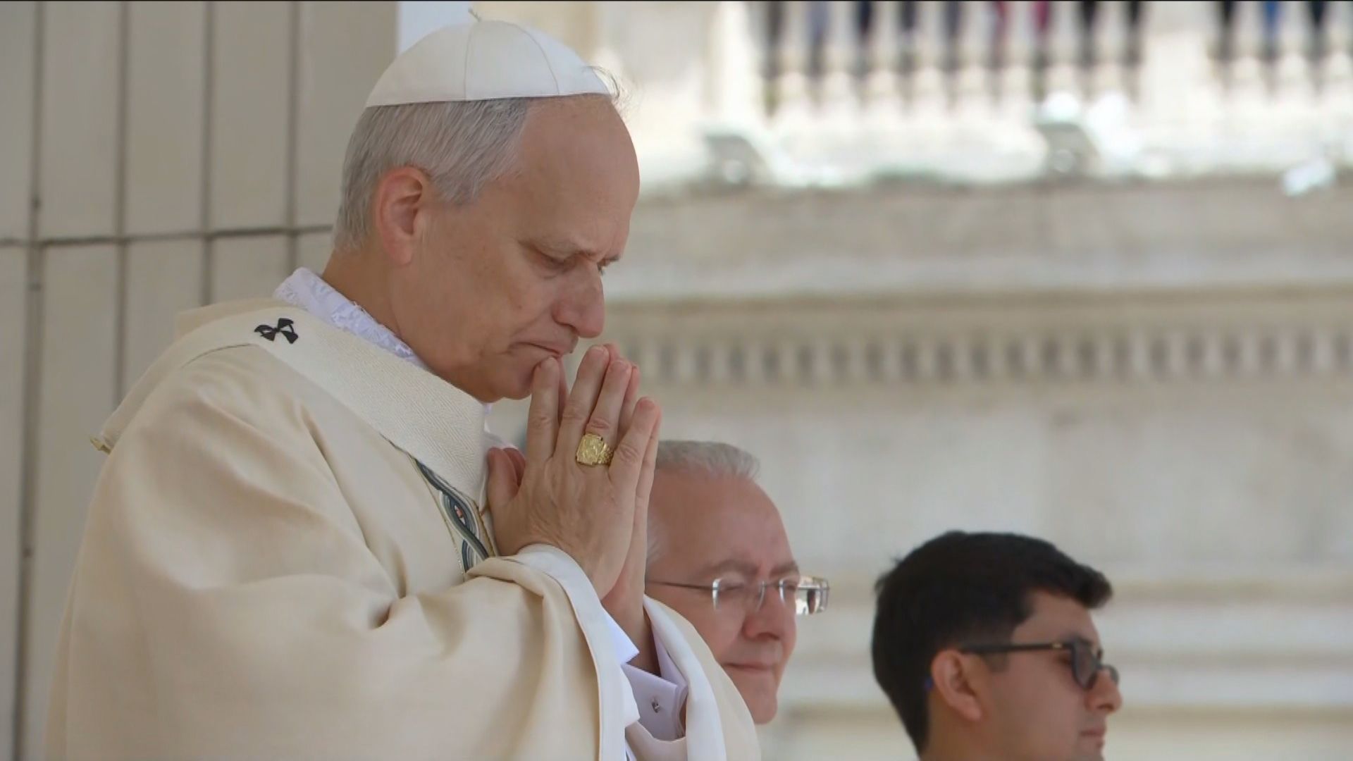 Cavalo mutilado: animal caiu por exaustão após ser forçado a cavalgar 15 km