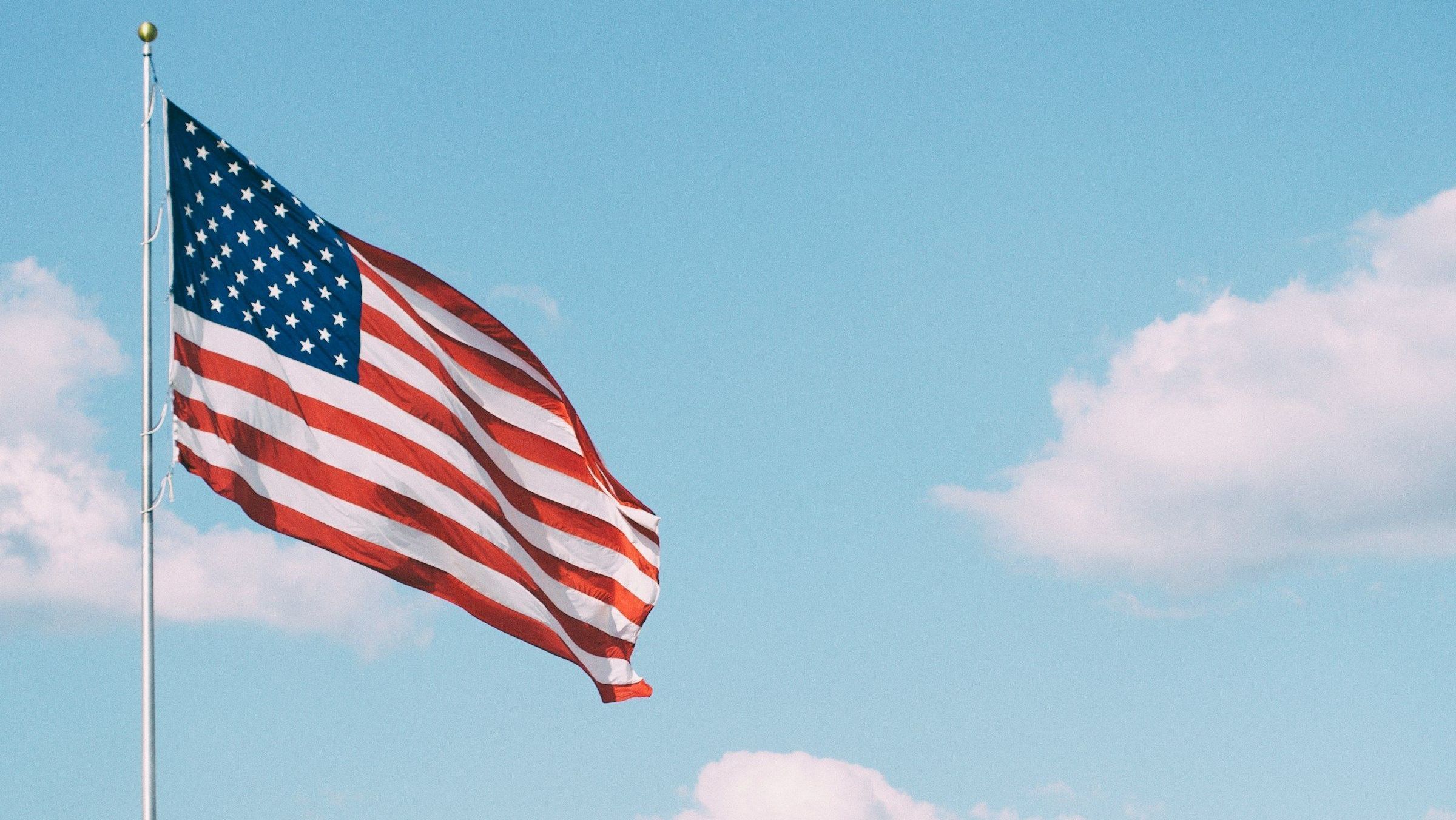 Cavalo mutilado: animal caiu por exaustão após ser forçado a cavalgar 15 km