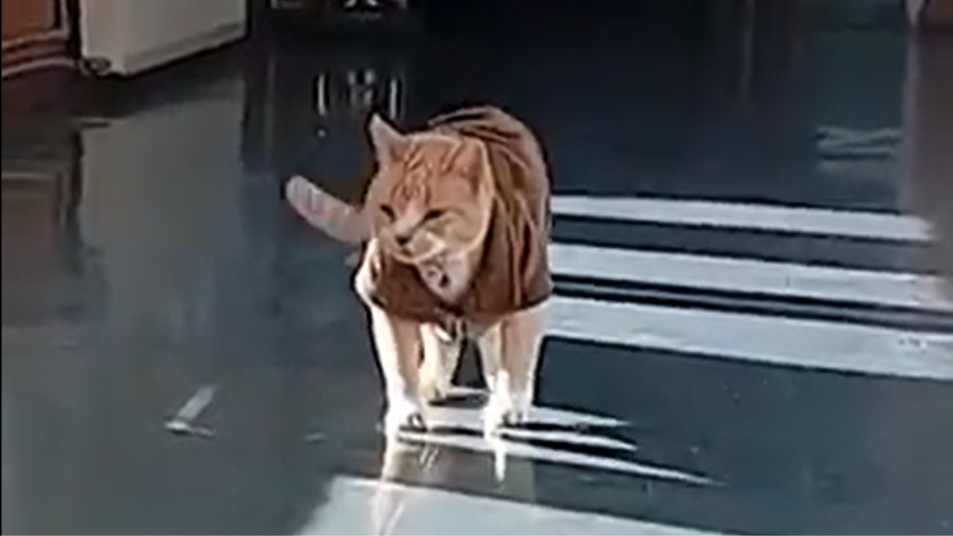 Após cinco ondas de frio, inverno deve ter mais uma no próximo mês