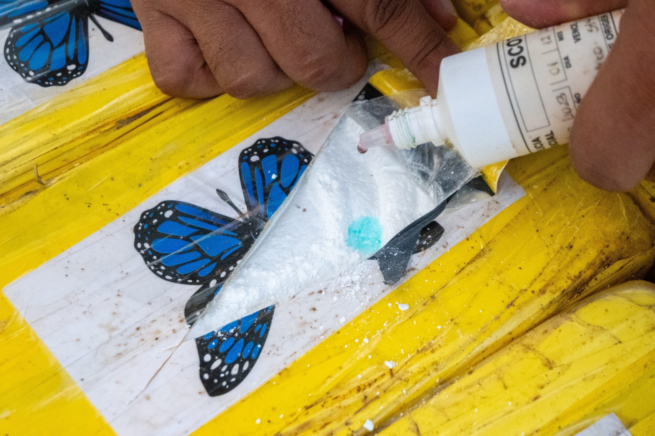 Cariúcha e filho do Gugu são vistos aos beijos em festa de João Silva
