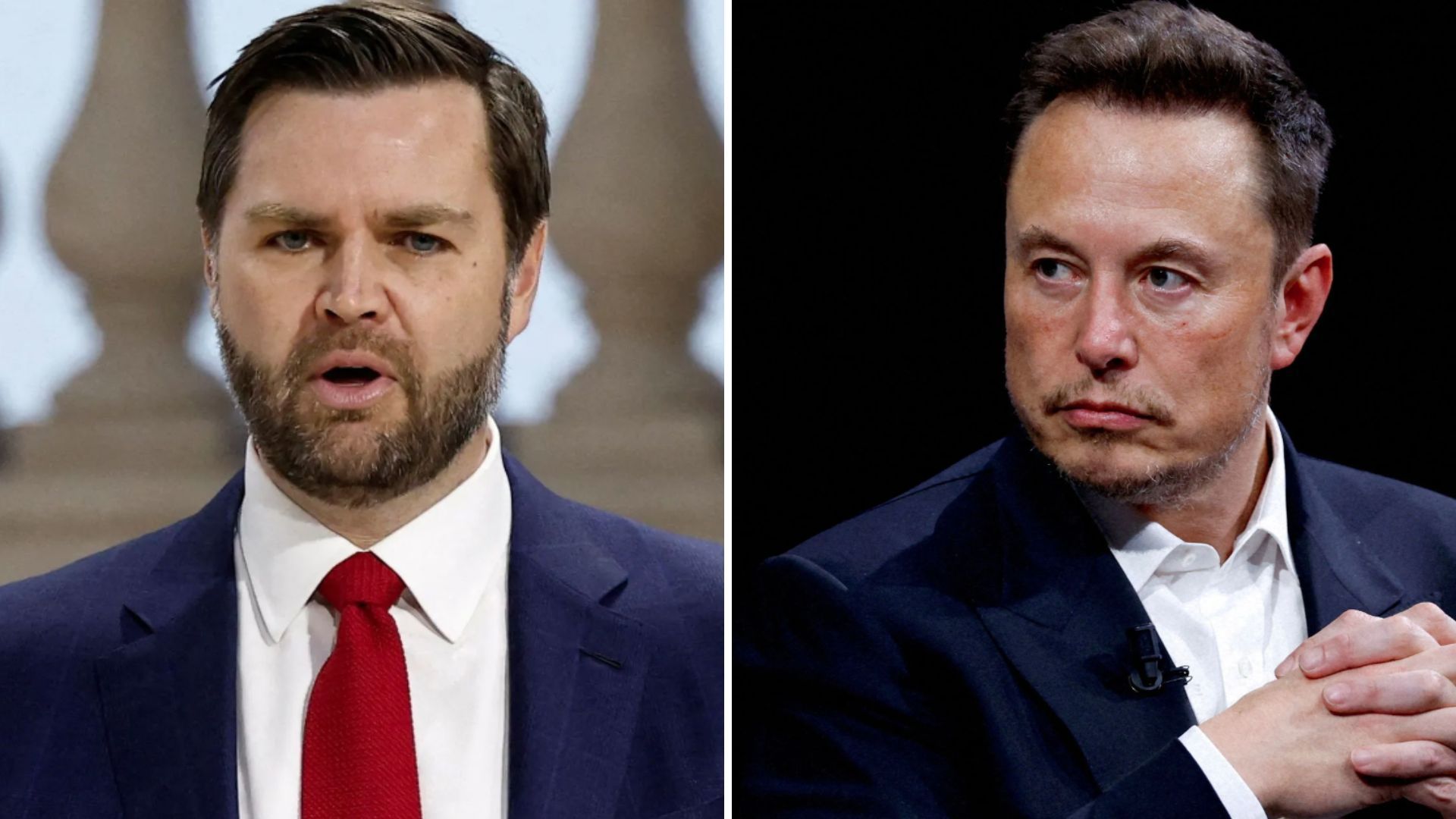 Cavalo mutilado: animal caiu por exaustão após ser forçado a cavalgar 15 km