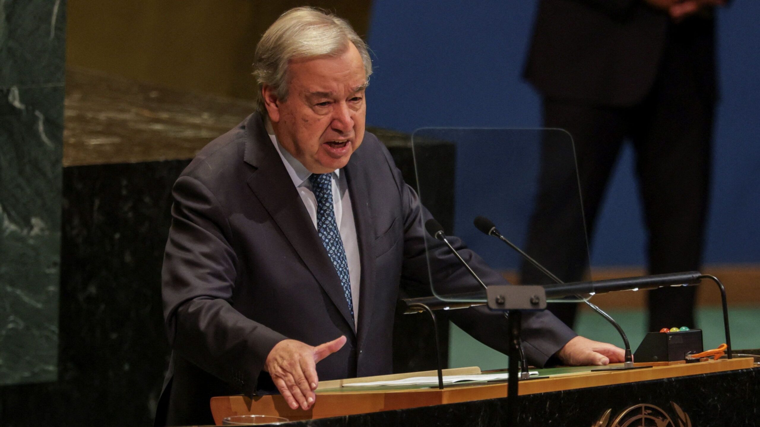 Cavalo mutilado: animal caiu por exaustão após ser forçado a cavalgar 15 km