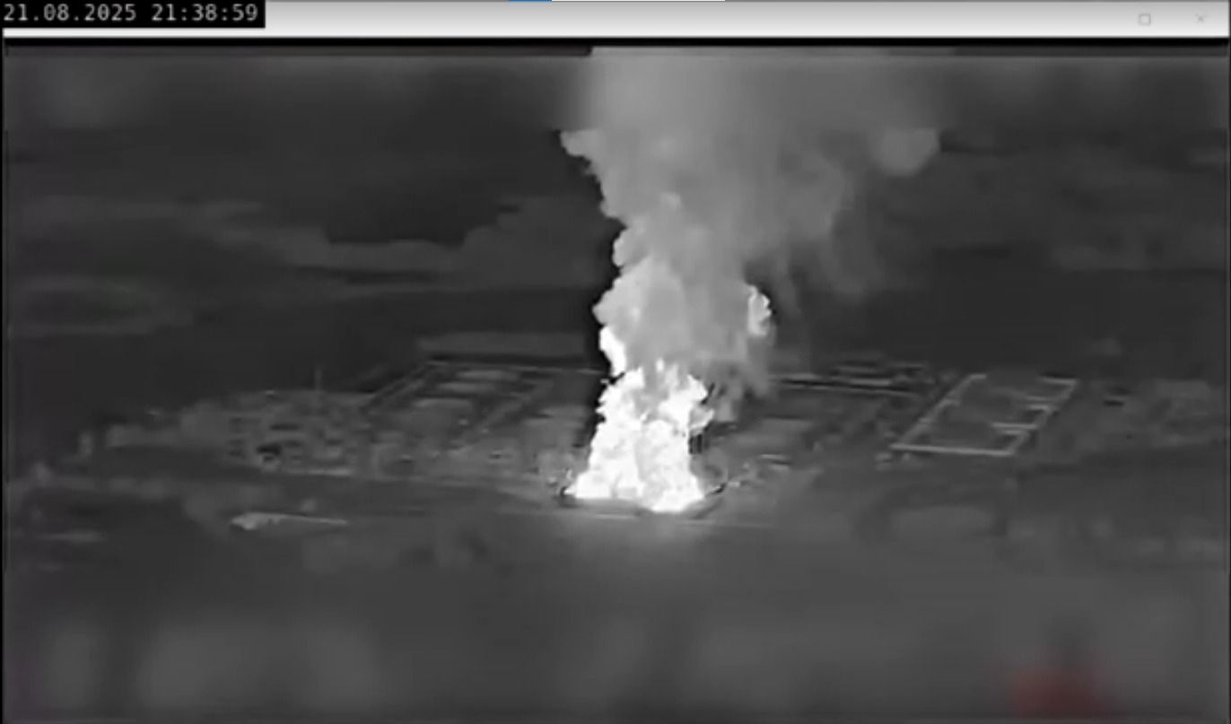 Cavalo mutilado em SP: entenda por que suspeito não foi preso