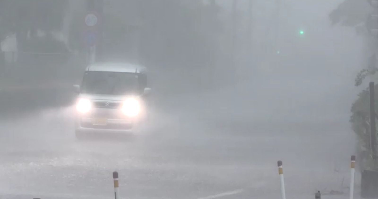 image-2-2.jpg Cavalo mutilado em SP: entenda por que suspeito não foi preso