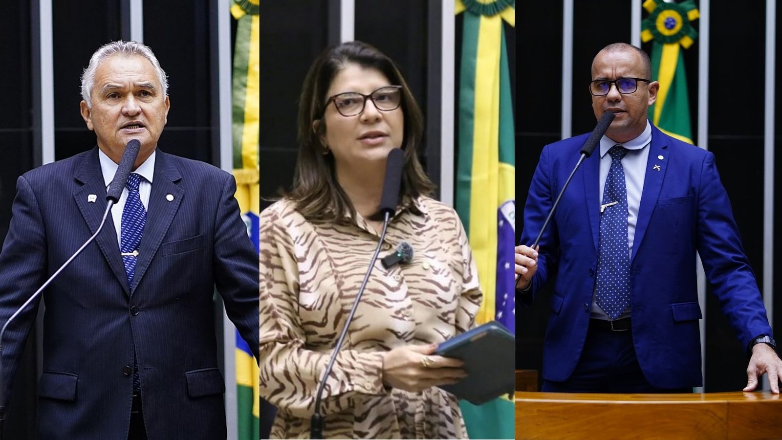 CAPA portal (16x9)(4)