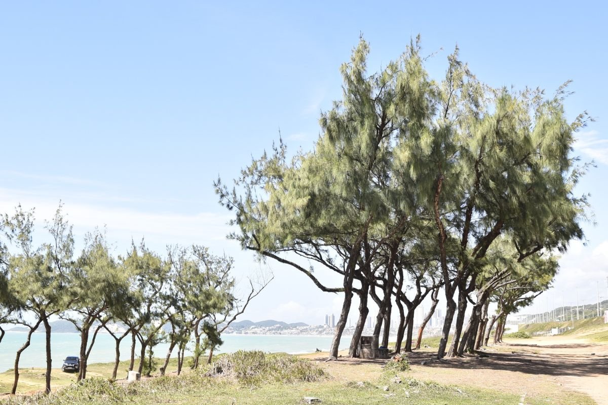 Governo do RN publica licitação para construir o Costeira Parque, novo espaço de lazer e turismo na Via Costeira, com investimento de R$ 22 milhões.