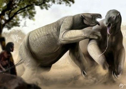 Morador de Parelhas encontra fóssil de Preguiça-Gigante