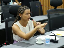 Brisa Bracchi é notificada de abertura de novo processo de cassação