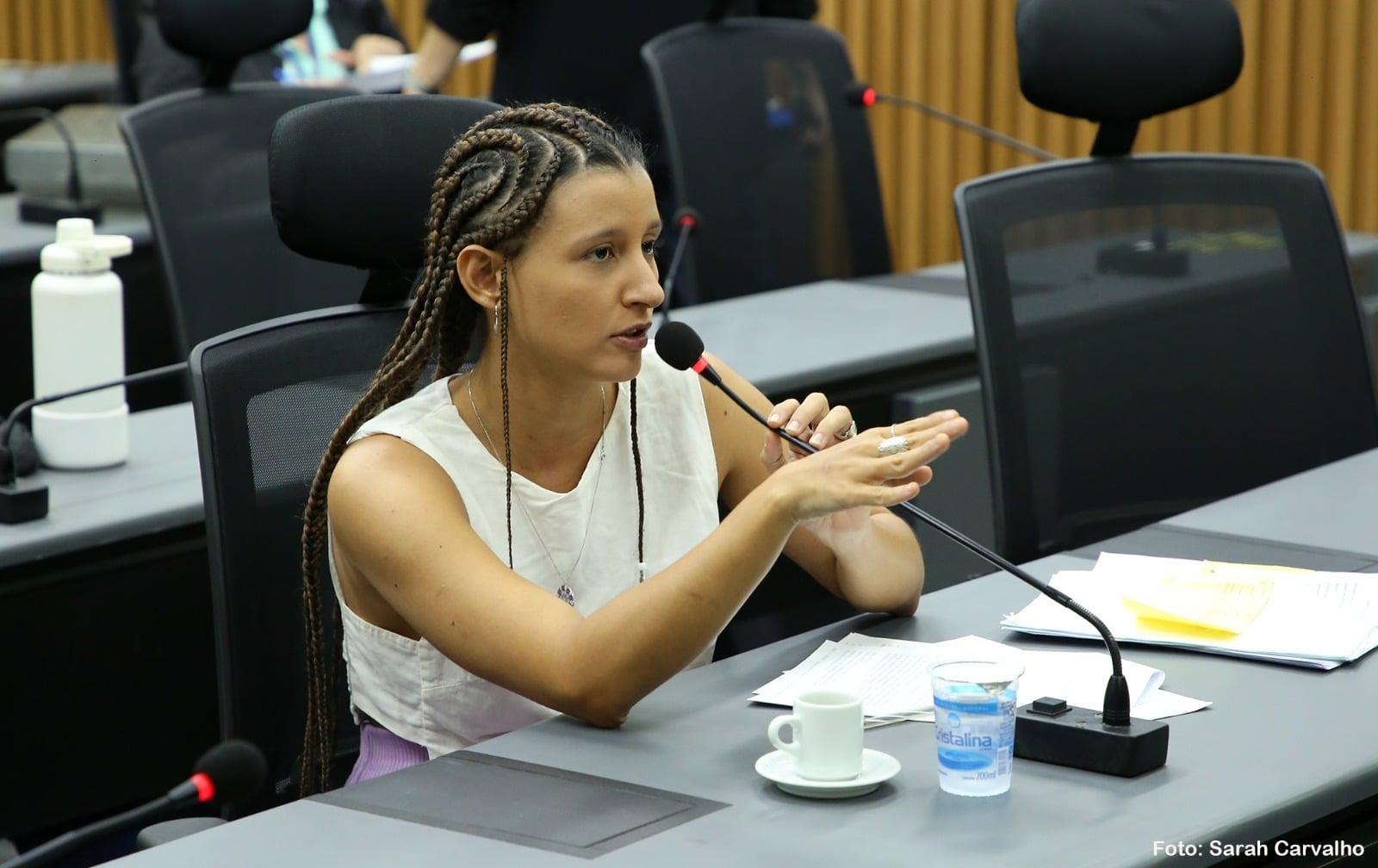 Brisa Bracchi é notificada de abertura de novo processo de cassação