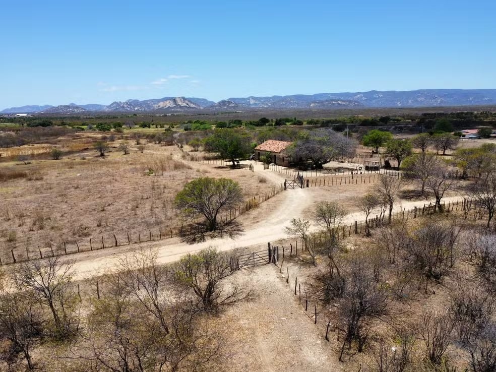 Desertificação severa já afeta 22 municípios do RN