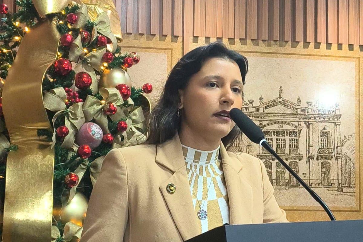 Brisa apresenta defesa em processo e reafirma que sofre perseguição política 