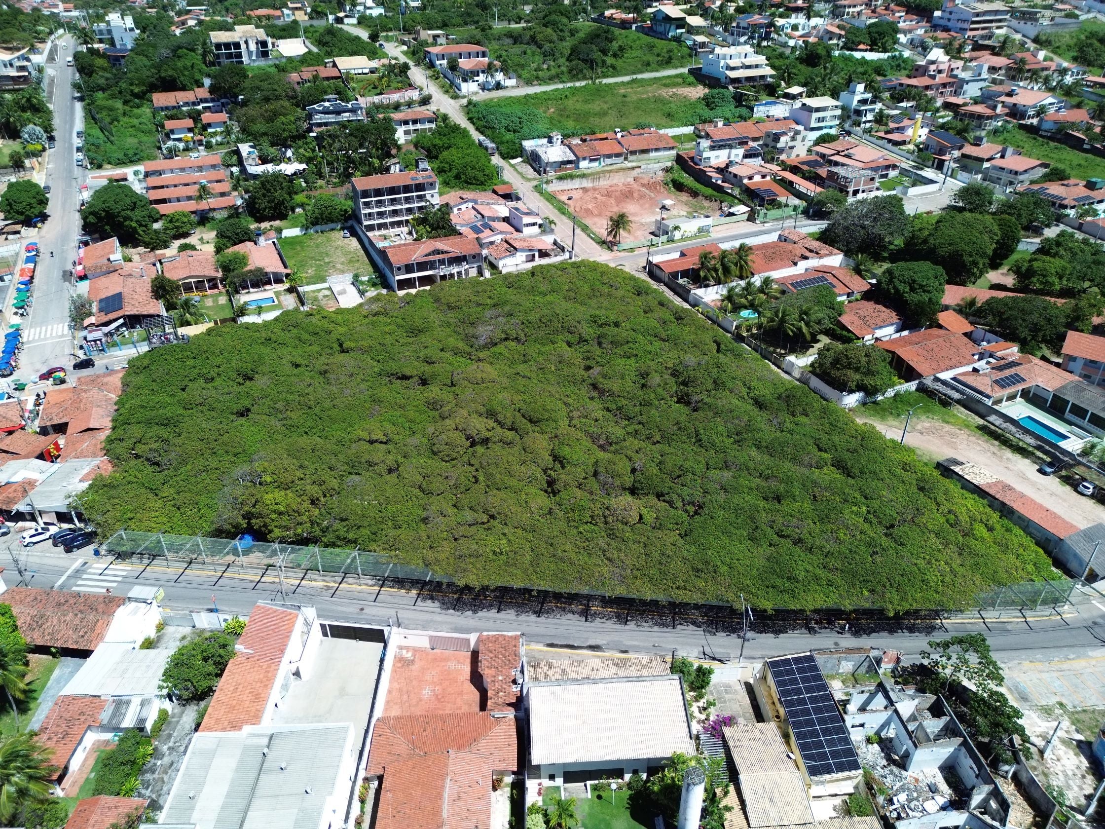 Cajueiro de Pirangi passa a ser unidade de conservação e proteção ambiental do RN