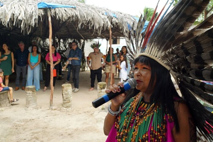 Desmatamentos e queimadas ilegais afetam indígenas do RN e agrônomo é denunciado