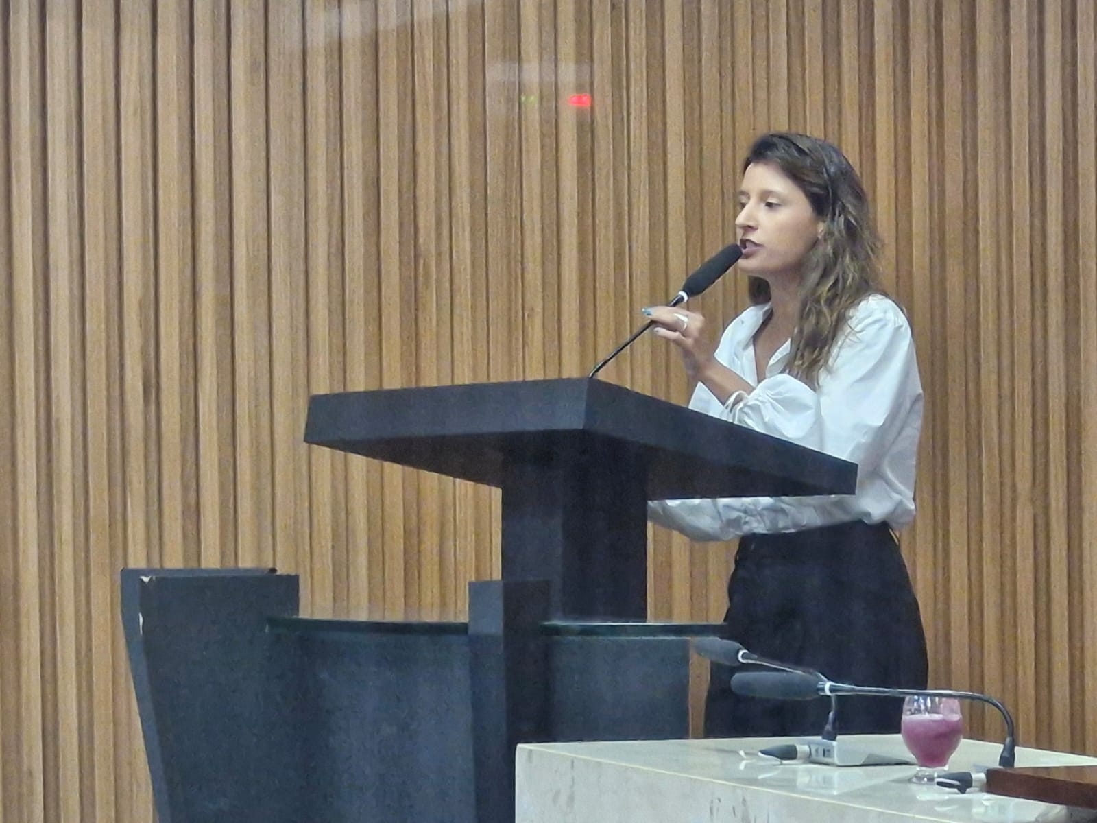 Brisa: Câmara mantém processo de cassação; vereadora denuncia perseguição