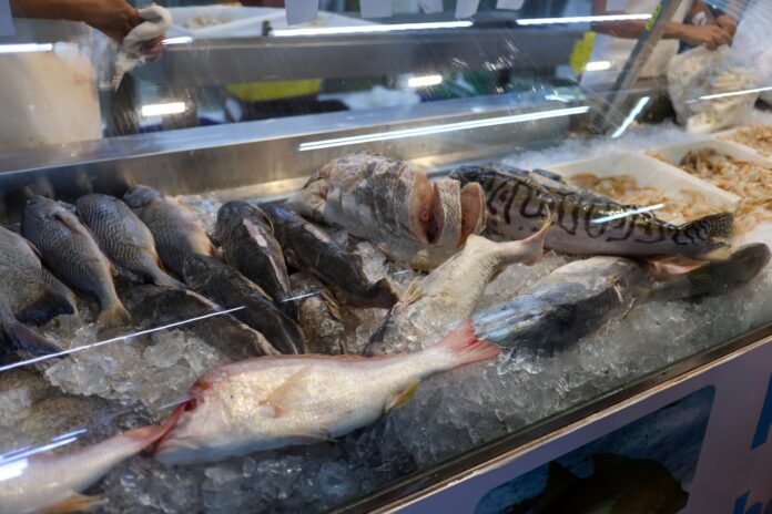 Surtos de ciguatera envolvem 36 pessoas no RN; Sesap investiga