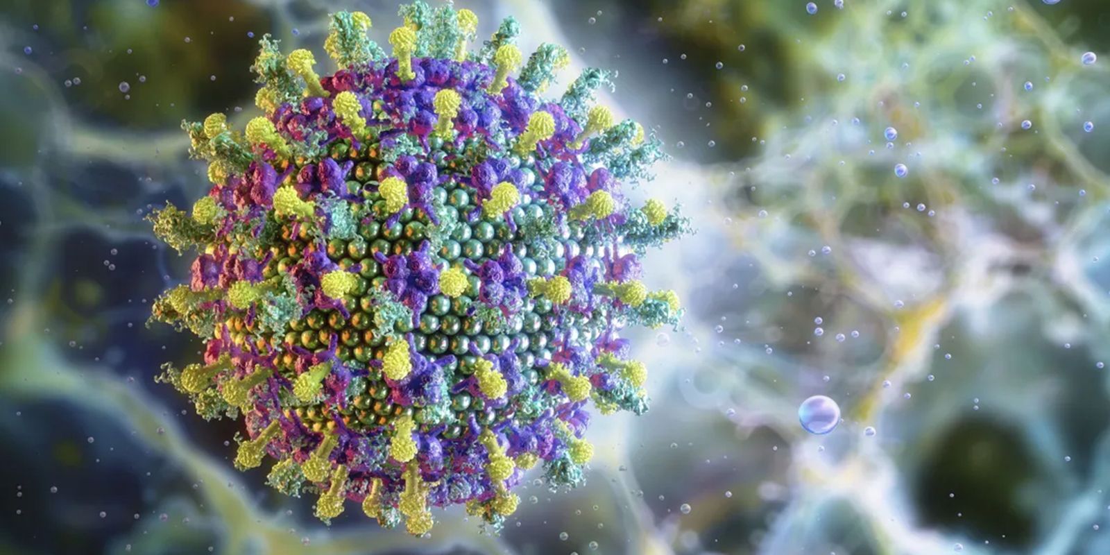 virus-nipah-e1769515319494.jpg