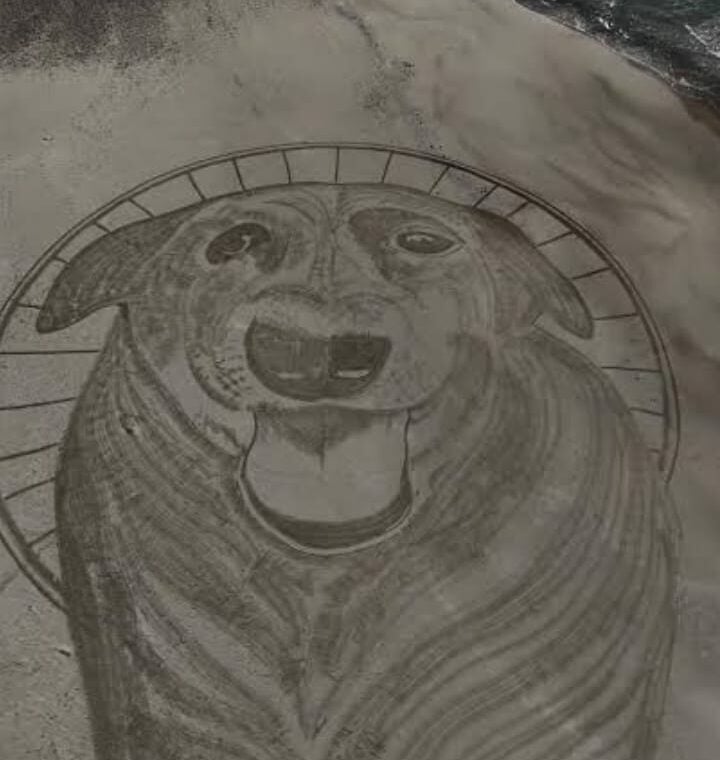 Será a banalização da barbarie?