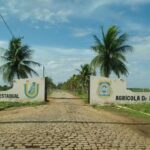 Mulheres formam rede em defesa do clima e dos territórios